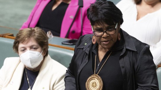 Lingiari MP Marion Scrymgour in federal parliament.