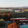 Australia’s 52 top wineries of 2023