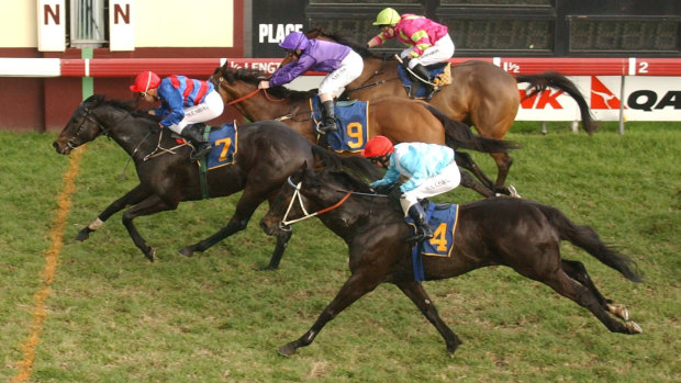 Racing returns to Grafton on Sunday with a seven-race program.
