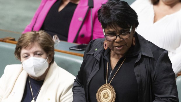 Lingiari MP Marion Scrymgour in federal parliament.