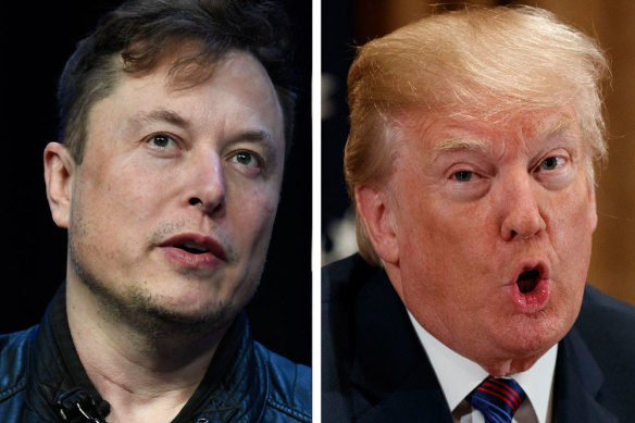 Elon Musk and Donald Trump.