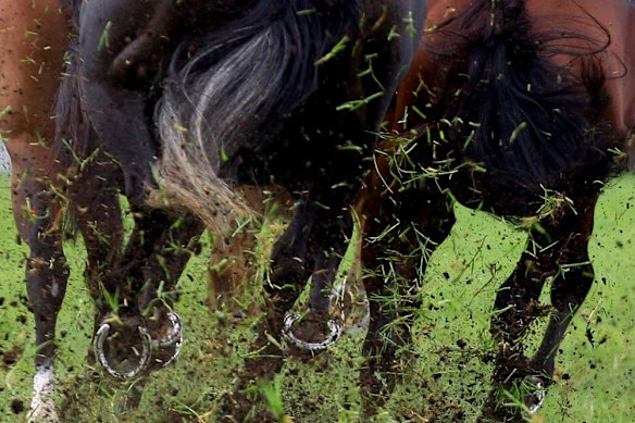 A heavy 10 is expected for the Taree meeting on Monday.
