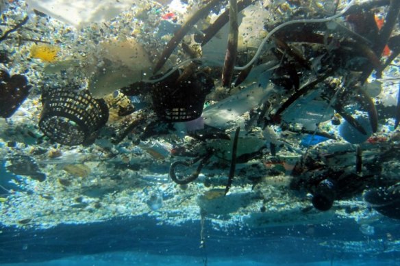 Cleaning the ocean of plastic pollution has been a focus of the Minderoo Foundation.