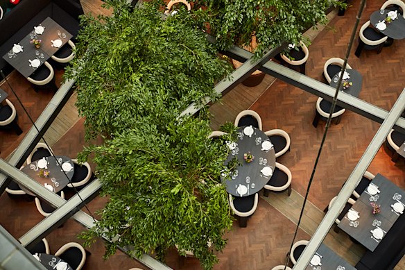 Ottolenghi Amsterdam from above.