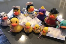 Some passengers bring dozens of ducks to hide onboard.