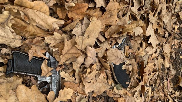 Guns found in Fawkner Park.