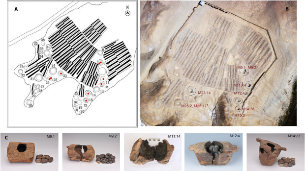 A map and photo of the site at the Jirzankal cemetery (top row) where ancient wooden braziers containing vestiges of cannabis were found (bottom row).