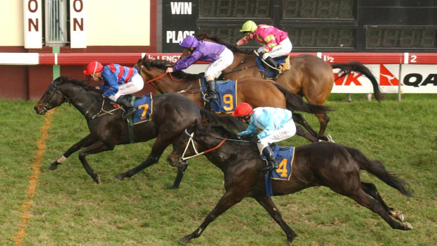 It's Jacaranda Cup Day on Wednesday for the Clarence River Jockey Club.