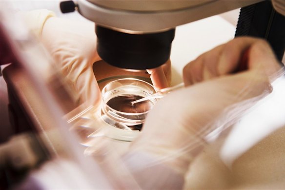 Monash IVF’s first bungle was the implantation of the wrong embryo.