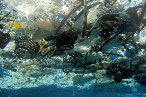 The NSW government is acting on dire warnings about the threat of plastics. 