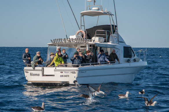 Citizen scientists at sea: Birdwatchers aboard the Kiama boat off the NSW coast.
