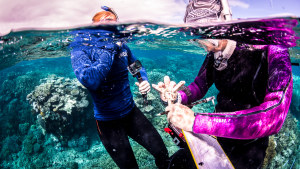 Collaborative monitoring pilot project at Moore Reef, off the coast of Cairns.