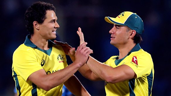 Nathan Coulter-Nile and Marcus Stoinis, pictured here celebrating a wicket in that Twenty20 series, are part of the current ODI World Cup squad.