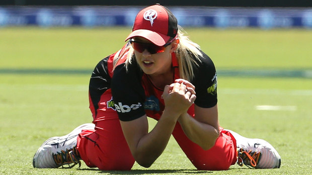 Clincher: Renegade Maitlan Brown takes a catch to dismiss Ashleigh Gardner of the Sydney Sixers.
