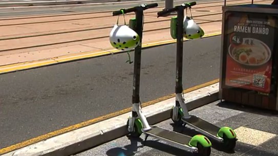 Lime scooters on the Gold Coast. Photo: Seven News