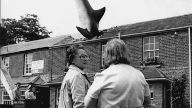 Cinema boss Bill Heine hired a crane to lower a 25ft model of a shark on the roof of his little terraced house.
Bill got sculptor John Buckley to make the glass-firba fish as a symbol of peace on the anniversary of the Nagasaki a-bomb in 1986.