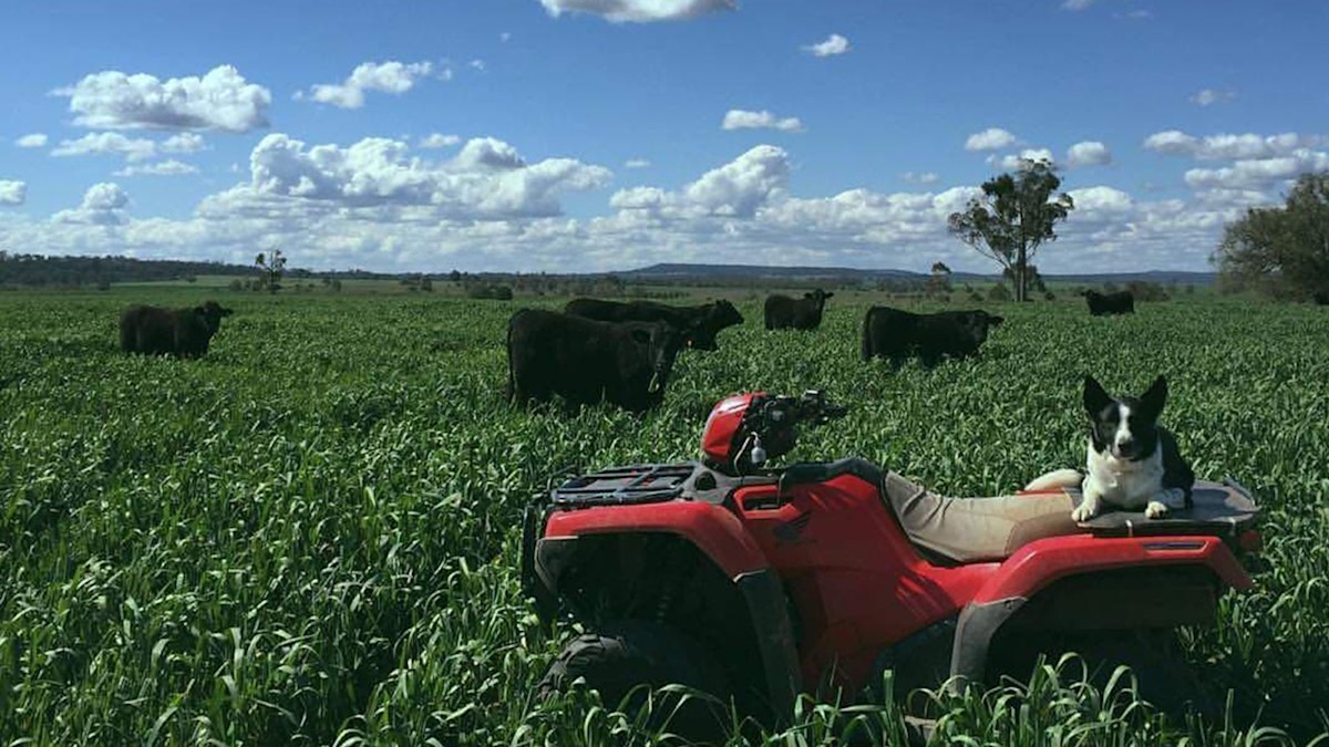 Rising diesel costs threaten Australian farms and food prices
