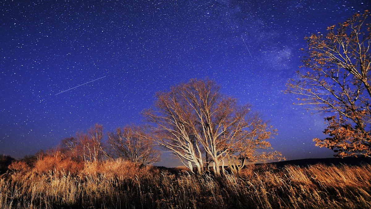 Orionid meteor shower Australia: The best times and places to watch it ...