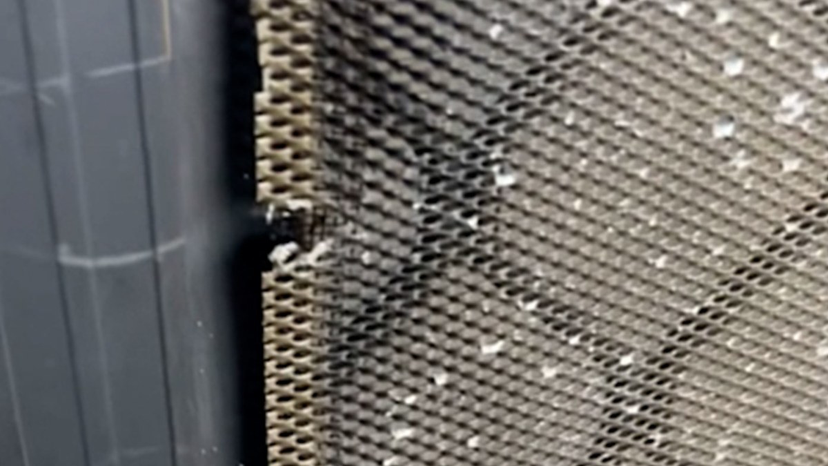 Common cleaning product damaging screen doors and the cheap home items you should use instead