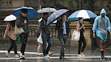 rain weather stock