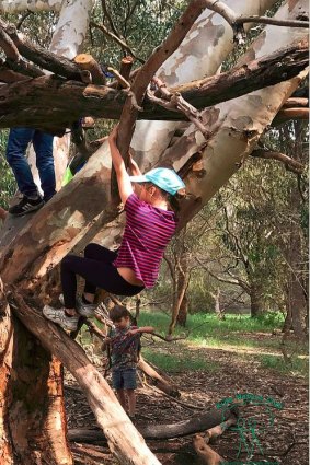 Nature Detectives encourages nature-based play during the school holidays.