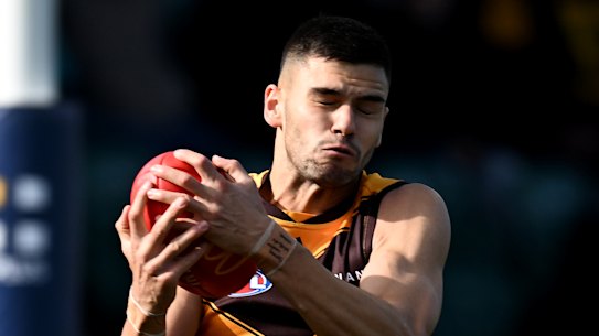 Down the highway: Former Hawk Emerson Jeka has found a new AFL club home at Geelong.