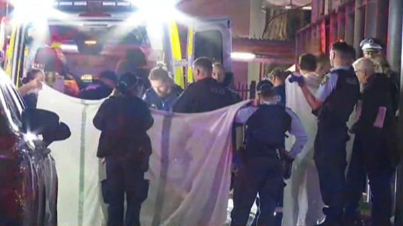 Teen dead, another hospitalised after stabbing at Sydney train station