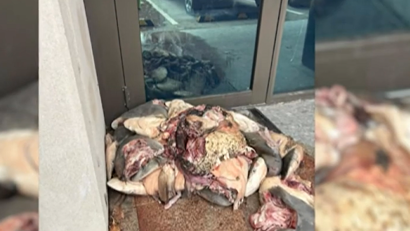 WA men charged over smelly protest at fishing minister’s office