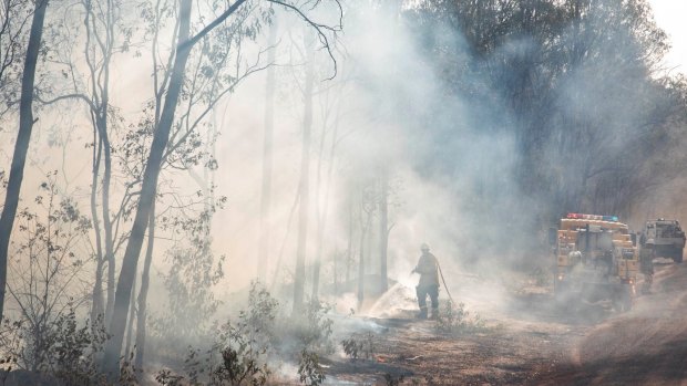 The Pechey bushfire in the Toowoomba region where there are fears at least five homes have been lost.
