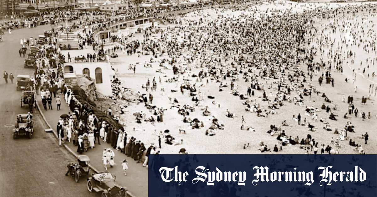 From the Archives, 1922: Terrifying shark attack at Coogee - Vimarsana News