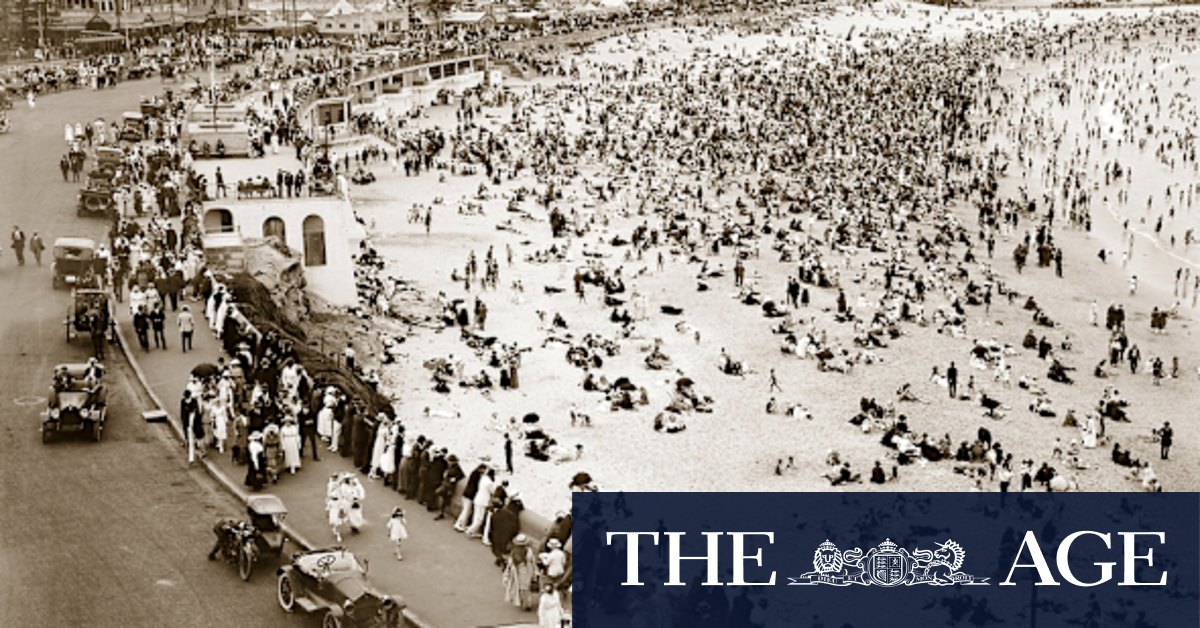 From the Archives, 1922: Terrifying shark attack at Coogee - Vimarsana News