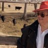 Holy Gruen Transfer! Gina Rinehart stars in bush apparel ad with Bjelke-Petersen’s son