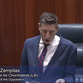 WA Opposition Leader Basil Zempilas.
