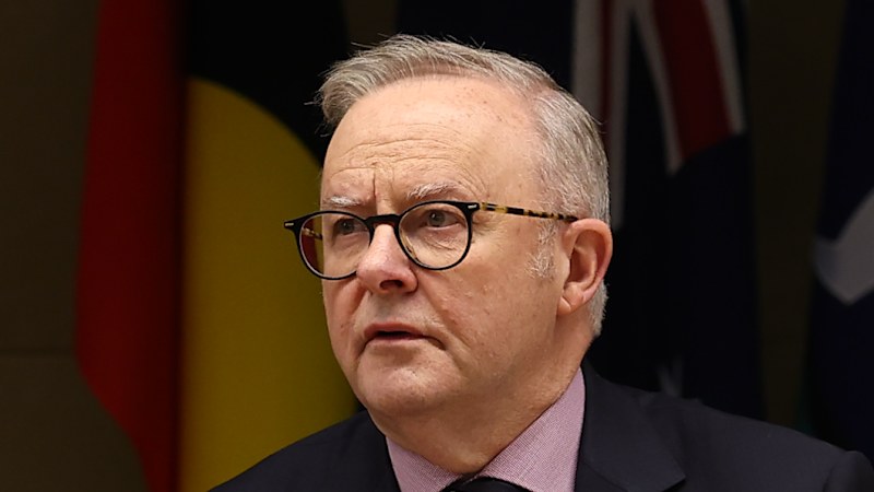Albanese retreats on Bowen's data centre renewable energy mandate