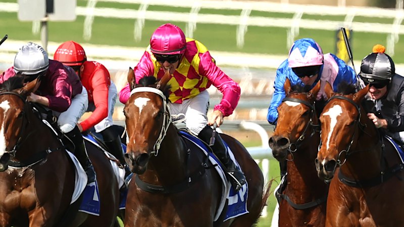 Emerging Osland mare aims for metropolitan breakthrough at Scone meeting