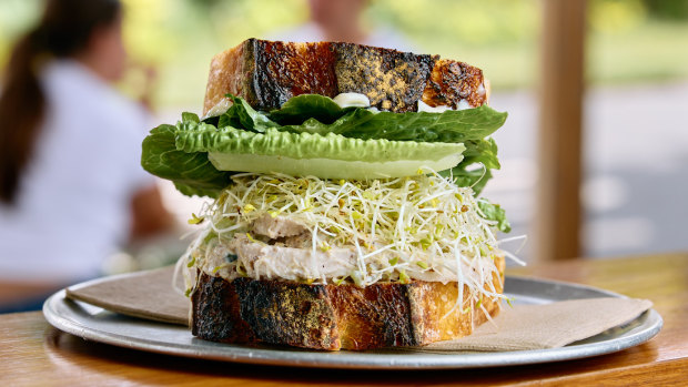 Wilburs chicken and tarragon sandwich.