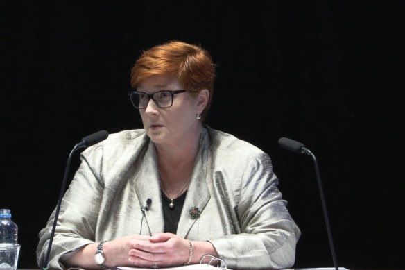 Senator Marise Payne appearing at the robo-debt royal commission.