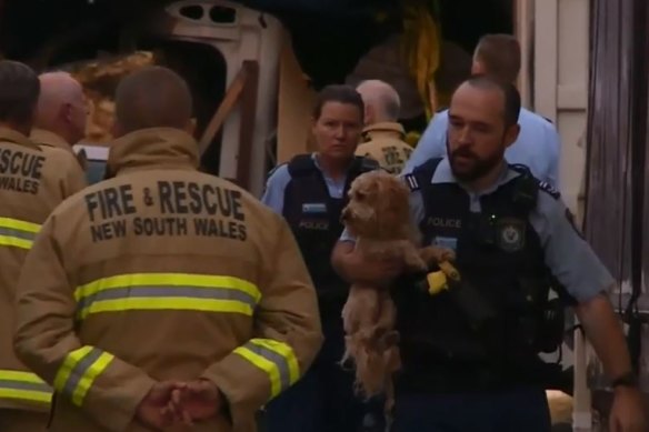 A policeman rescues a dog from the Oak Flats property.