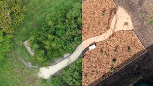 The tiny forest at Teralba Public School, Lake Macquarie, on planting  in May 2024 (right) and November 2025 (left).