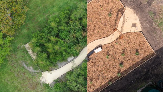 The tiny forest at Teralba Public School, Lake Macquarie, on planting  in May 2024 (right) and November 2025 (left).