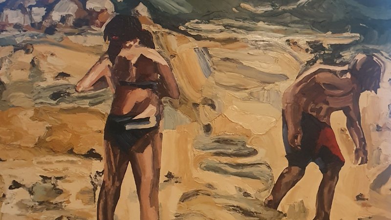 Influence or imitation? NSW artist faces fresh copying accusations