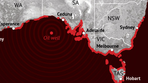 'Catastrophe': Bight oil spill could reach NSW coast, leaked report shows
