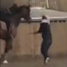 Video still of Charlotte Dujardin whipping horse in training.