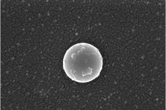 A single vesicle - sort of like an intracellular letter. 