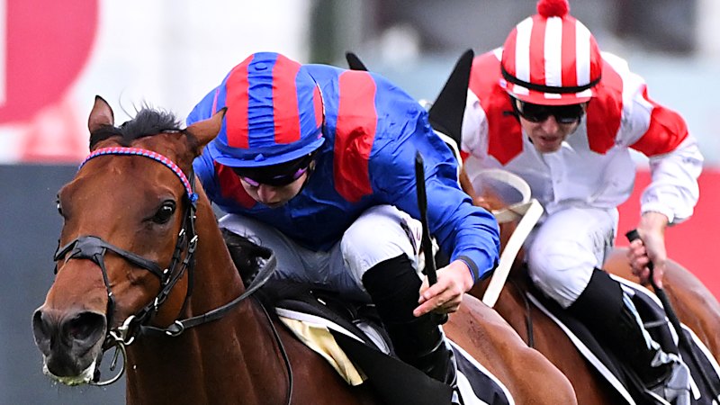 Race-by-race tips and previews for Rosehill on Saturday