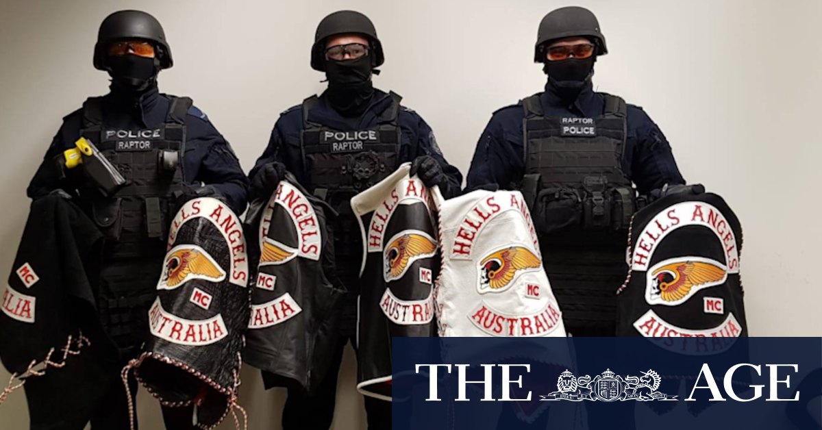Sydney crime gangs: New police Raptor Squad to shut down crime family feud - Vimarsana News