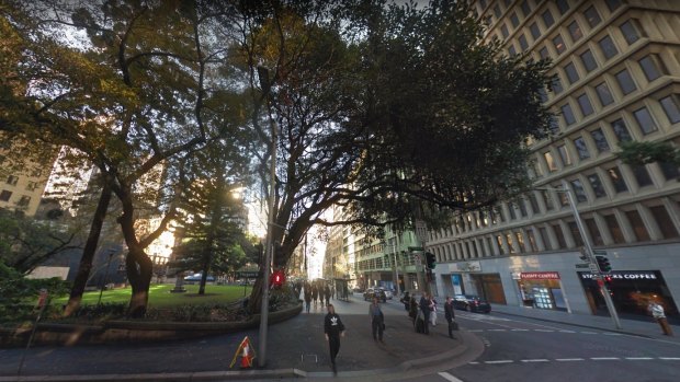 The tree was on a lean before it fell, as seen in this Google Street View image.