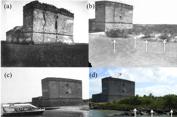 The back of Fort Matanzas taken in: (a) 1900-1915, (b) 1934, (c) 1981, and (d) 2018. Black mangroves (Avicennia germanins) are identified with white arrows on (b) and (d)
