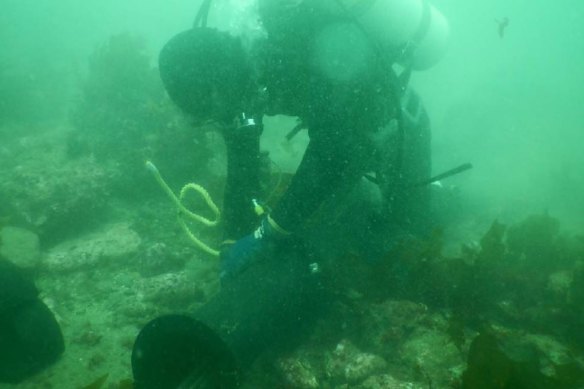 A diver performs maintenance checks on a Telstra internet cable.