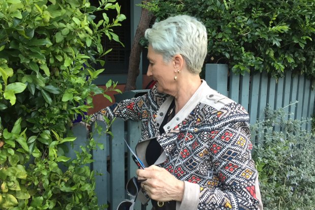 Kerryn Phelps doorknocking in Woollahra.